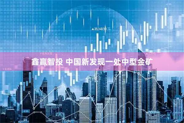鑫赢智投 中国新发现一处中型金矿
