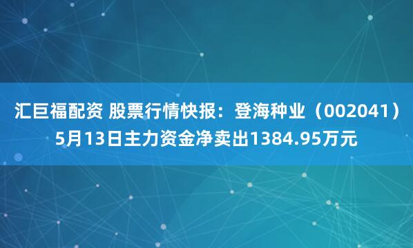 汇巨福配资 股票行情快报：登海种业（002041）5月13日主力资金净卖出1384.95万元